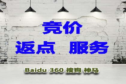 揭秘SEM代运营机构：实战案例分享
