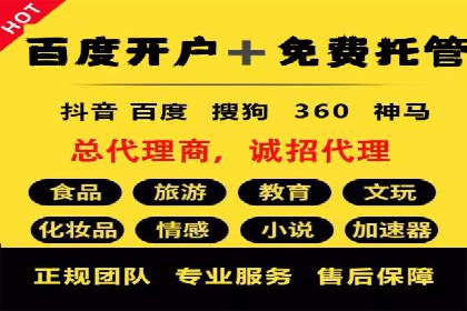 某电商平台的成功案例：信息流优化师的策略与成果